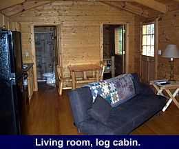 Log Cabin Living Room