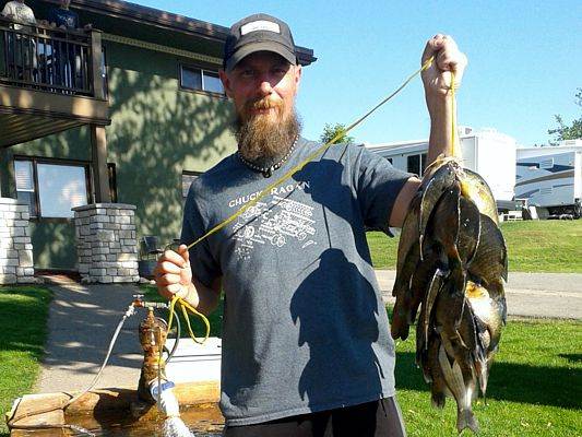 Stringer of fish
